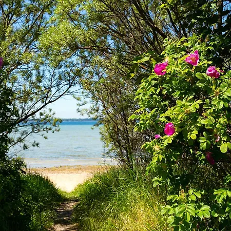 B 7 Reethaus Fabius Сasa de vacaciones Gramkow